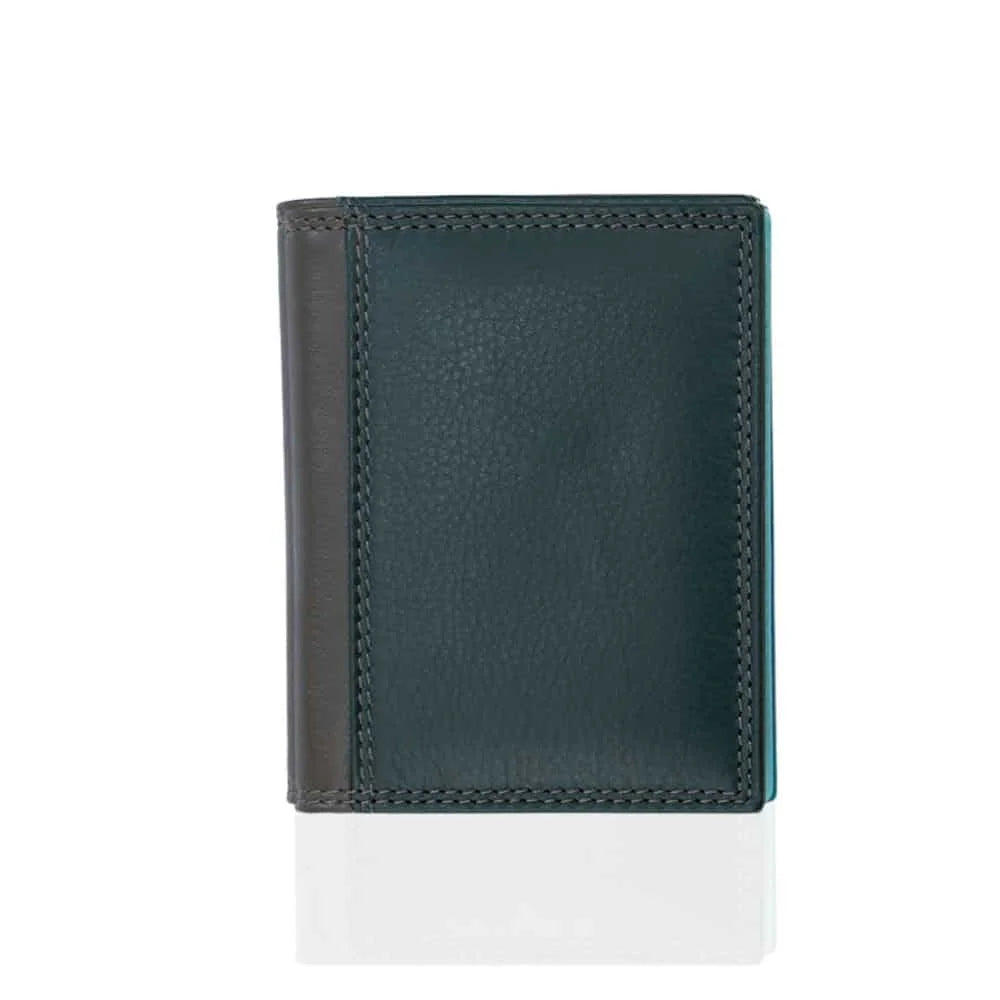 Multi Colour Card Holder - London  6090