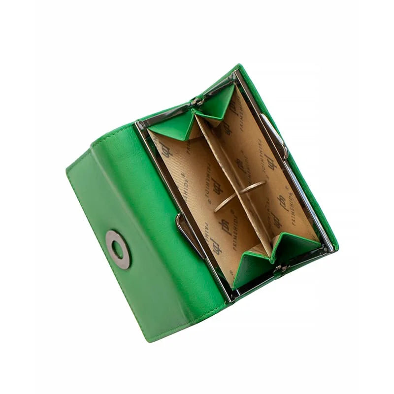 Flavia Clip frame Purse-22209GGRN-03