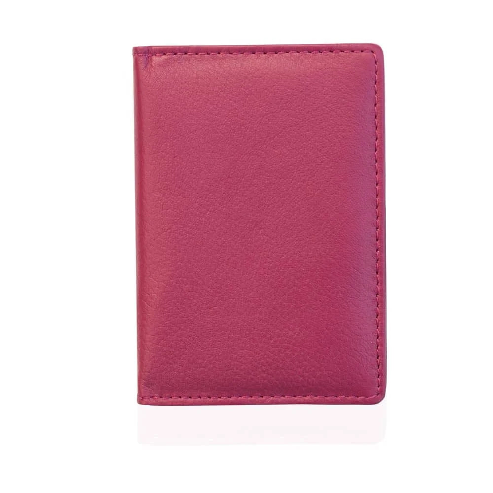 RFID Credit Card Holder 3000