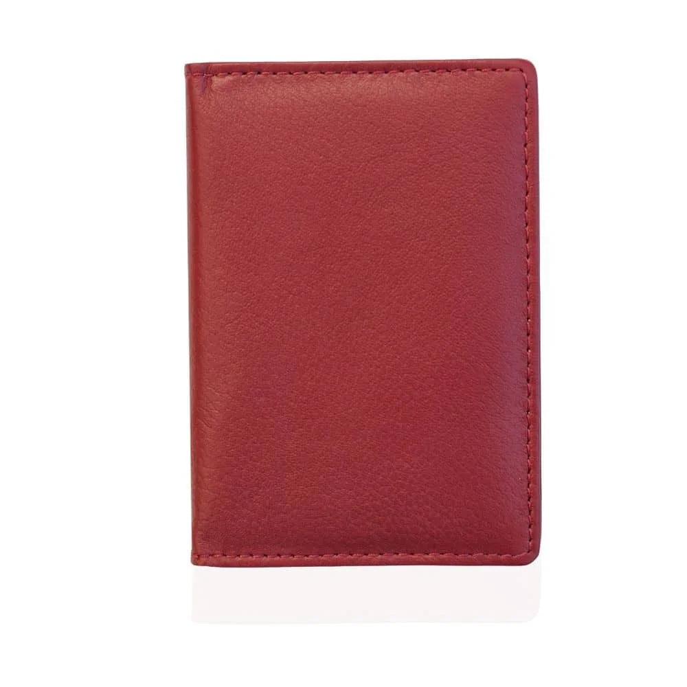RFID Credit Card Holder 3000