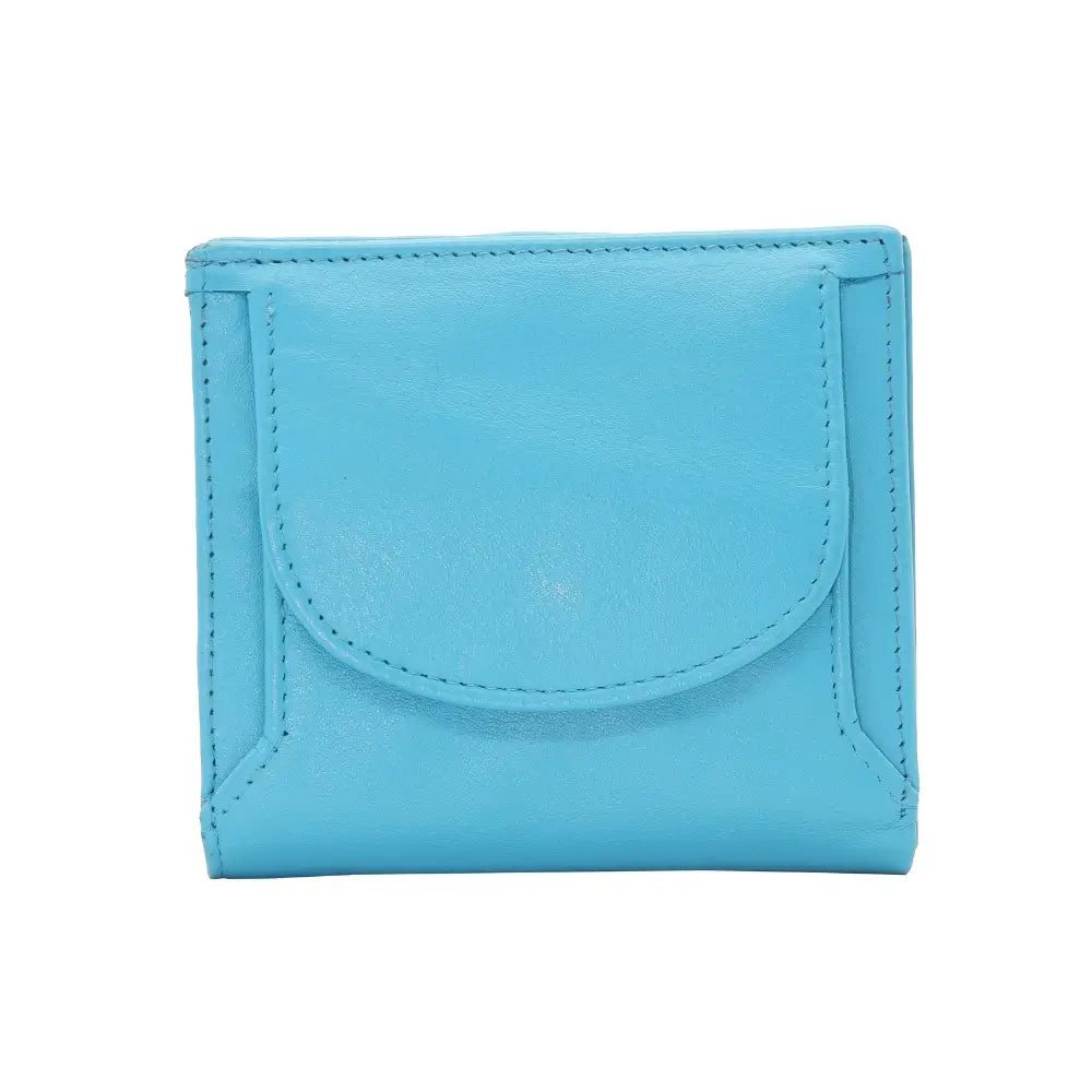 Front view of Blue wallet on a white background