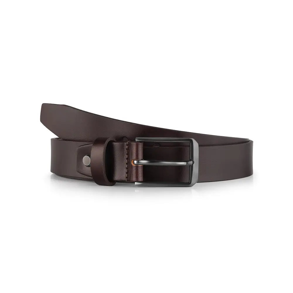 Brown leather belt with a silver buckle on a white background
