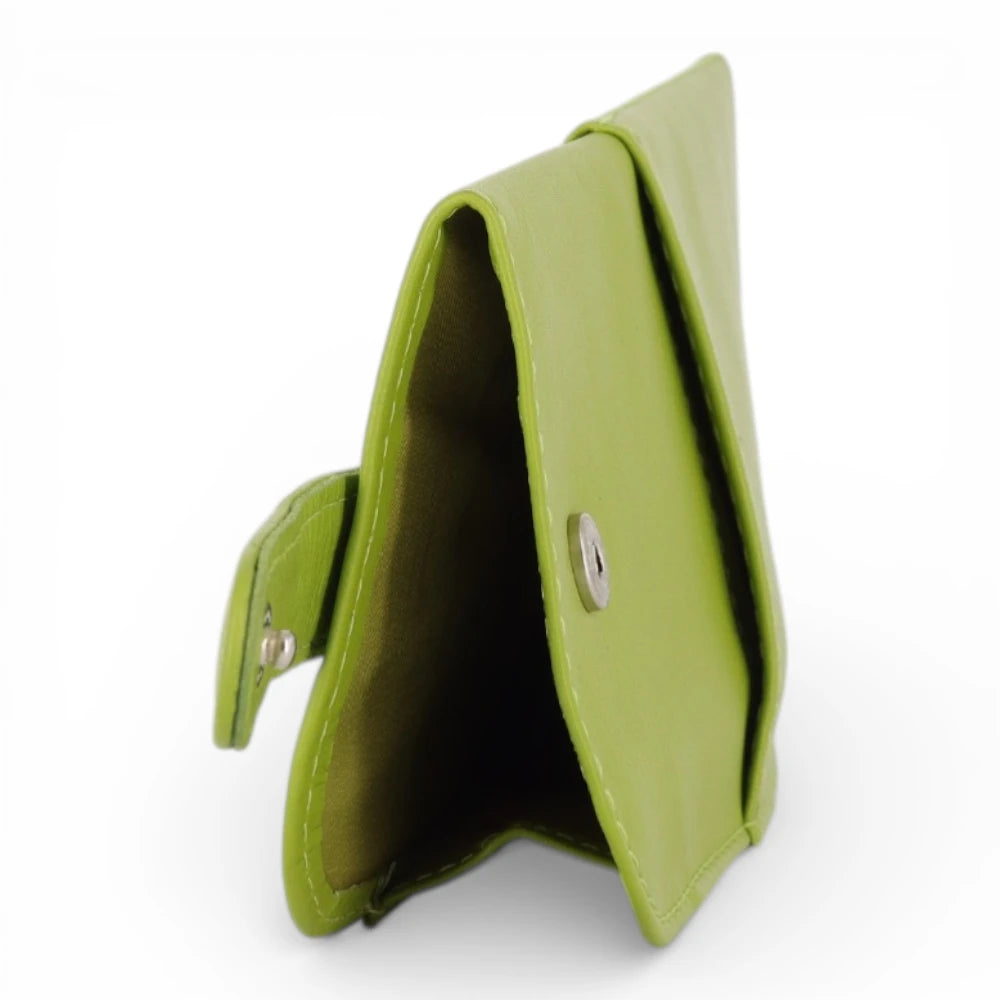 Light Green Spectacle Case on a white background