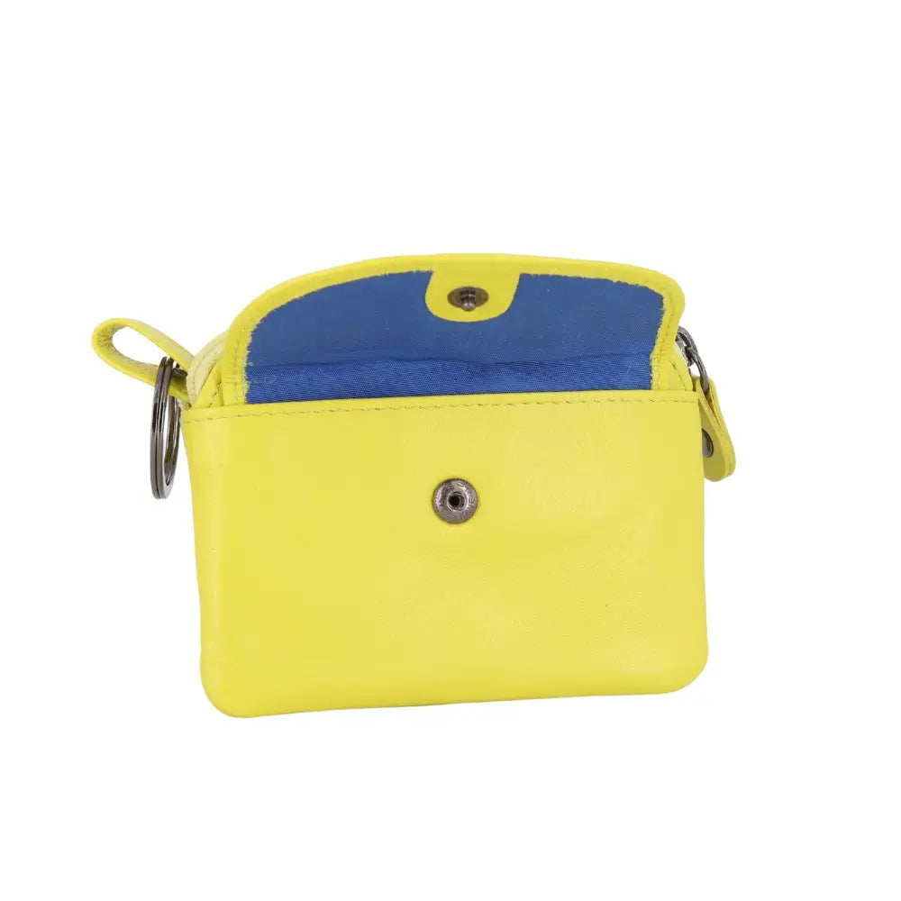 Lime pouch with blue interior on a white background