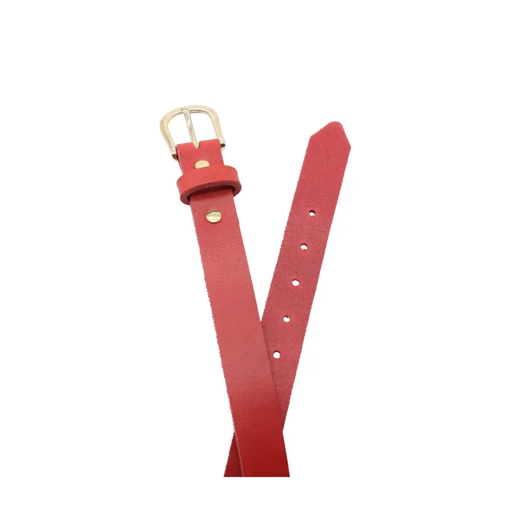 Top angle view of Red belt with a gold buckle on a white background