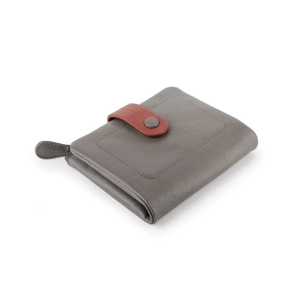 Taupe wallet with a red strap on a white background